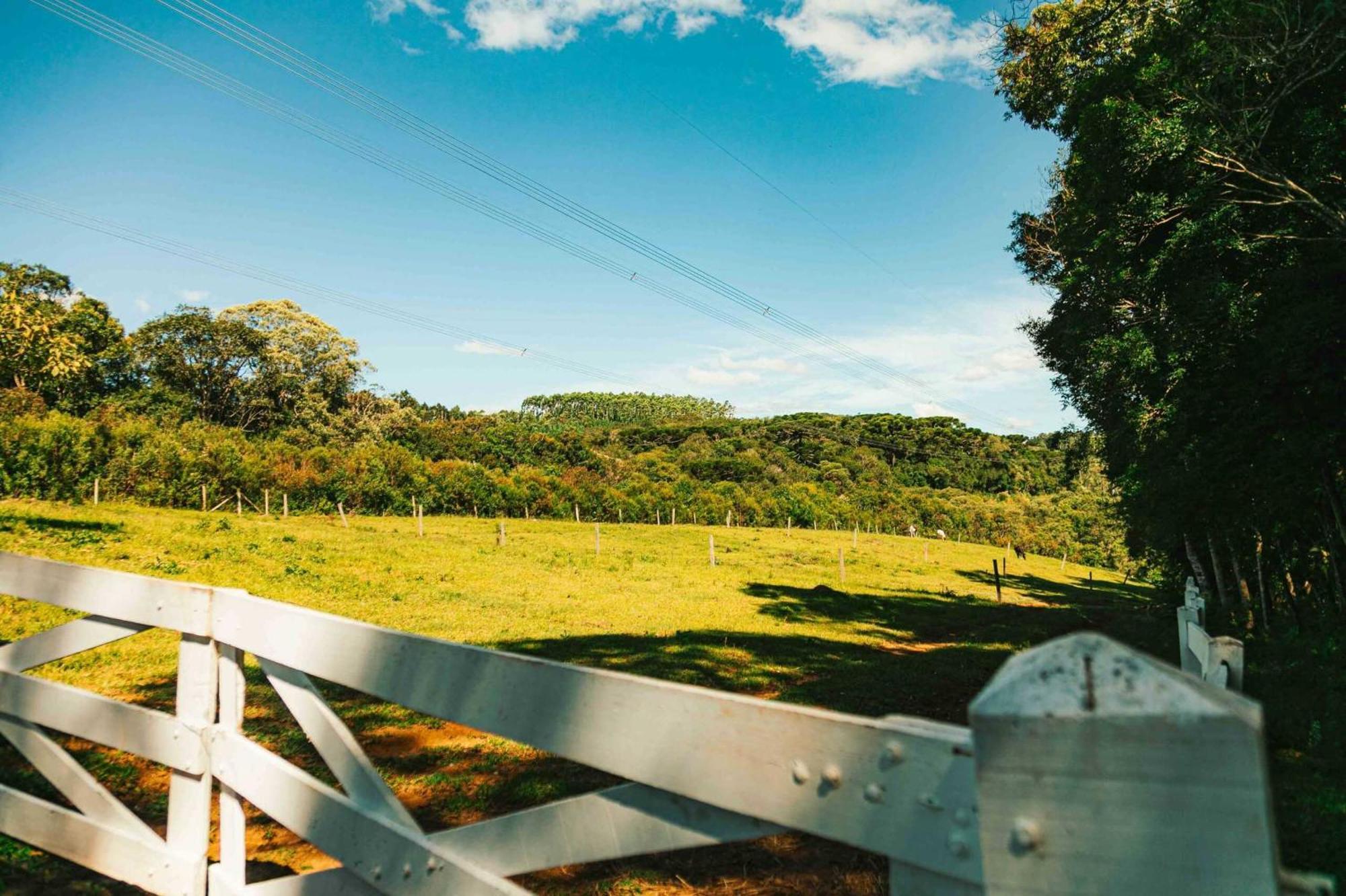 Hotel Nativa Eco Mandirituba エクステリア 写真